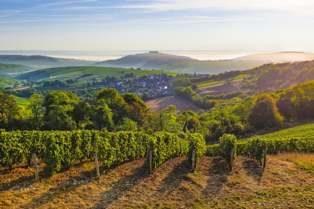 Sancerre -© tourisme-sancerre.com